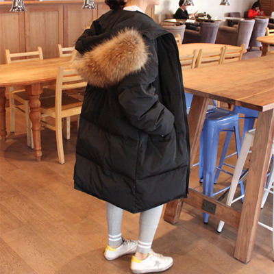 너구리 한마리 몰고 가세요........아니 그만 몰고 가세요................ | 인스티즈