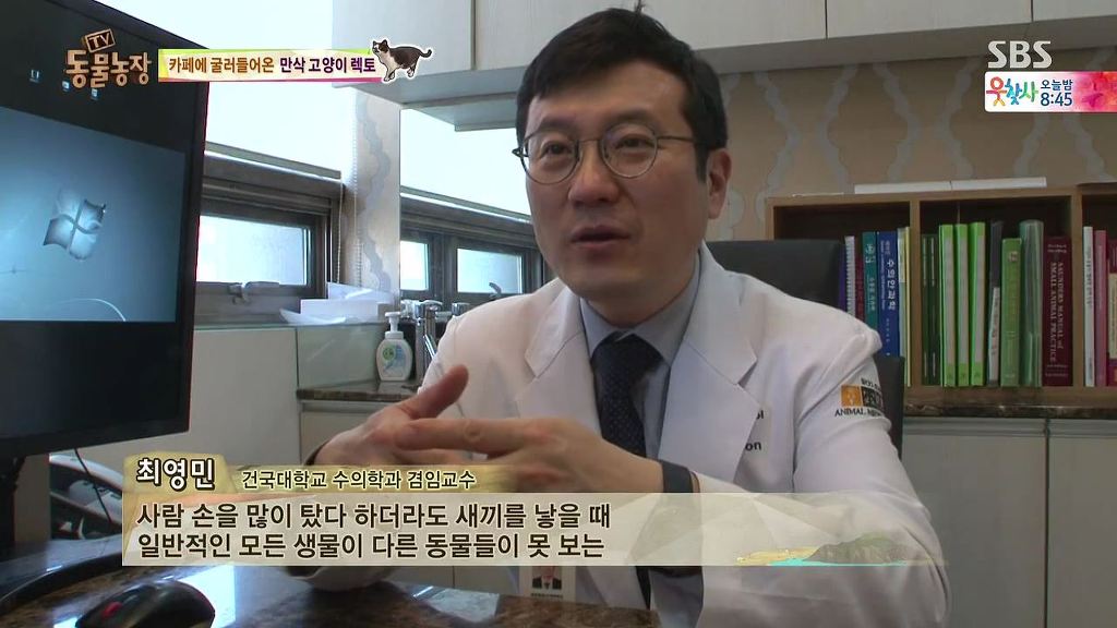 동물농장 [카페에굴러들어온고양이렉토] | 인스티즈