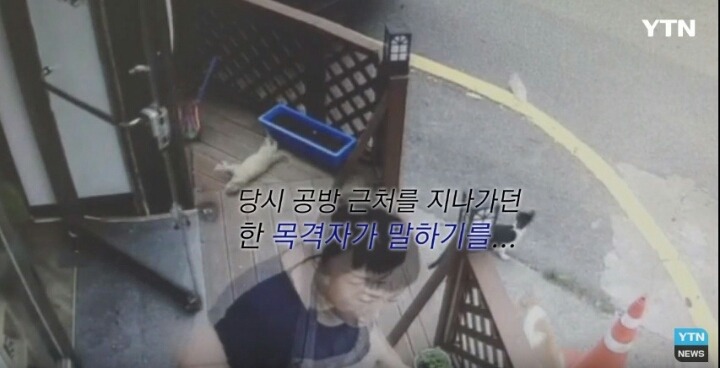 분노주의)웃는 얼굴로 새끼 고양이 내던지고 도망간 미친넘 | 인스티즈