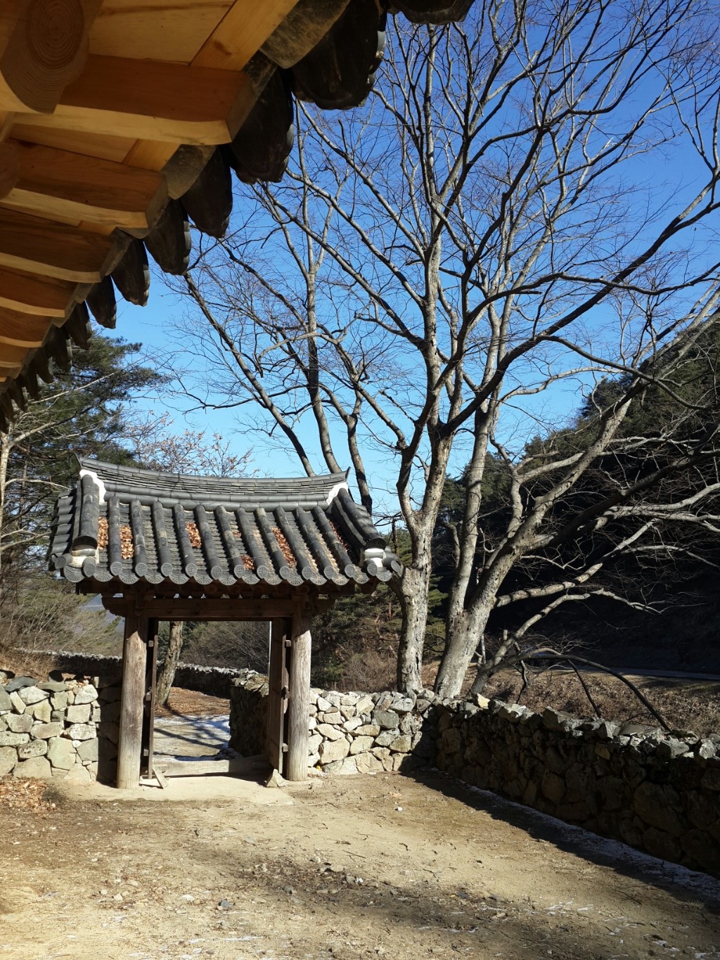왕산골식당 이미지