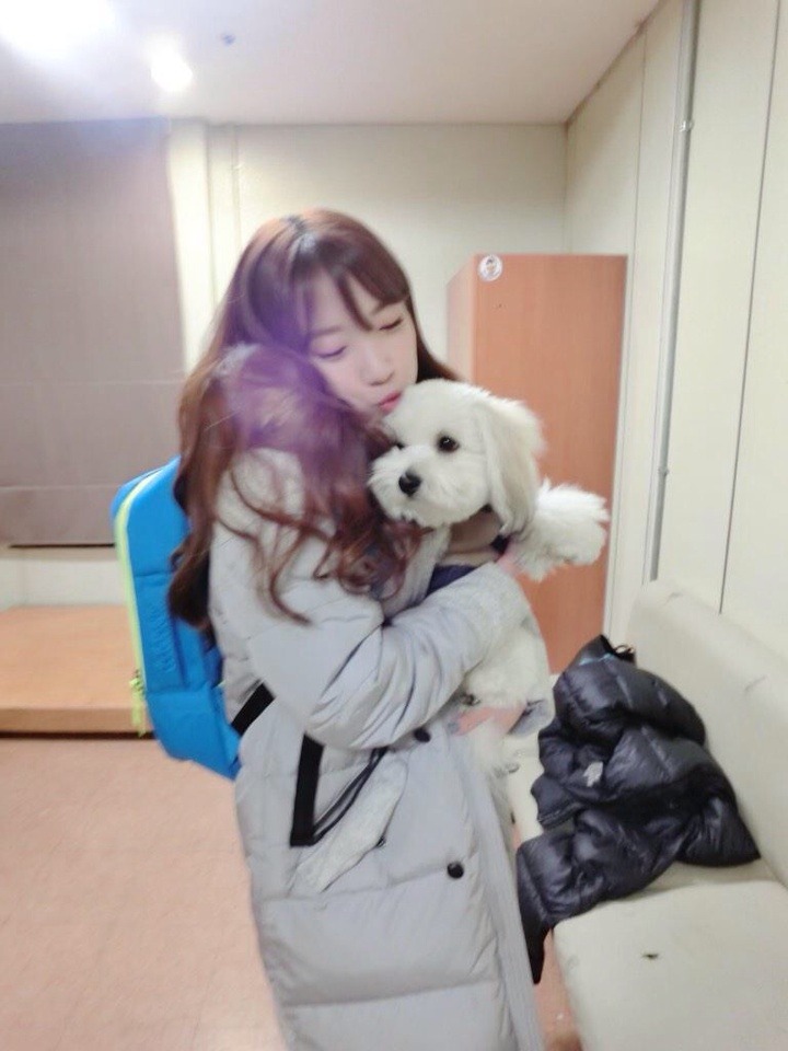 뽀뽀카롱 이미지