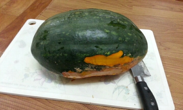 달콩이 이미지