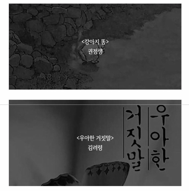 죽기전에 무조건 읽어야한다는 인생책 | 인스티즈