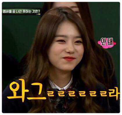 주란 이미지