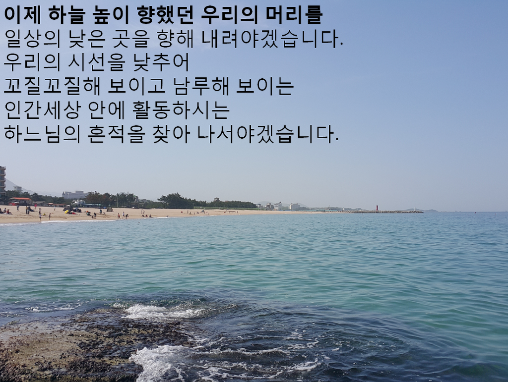 시선 이미지
