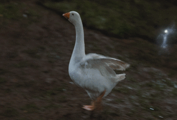 디즈니 실사판 신데렐라 변신 장면 비교.gif | 인스티즈