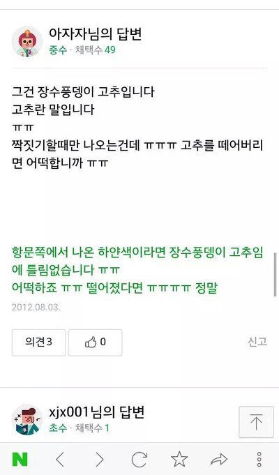 다시보는 장수풍뎅이 대참사.jpg | 인스티즈