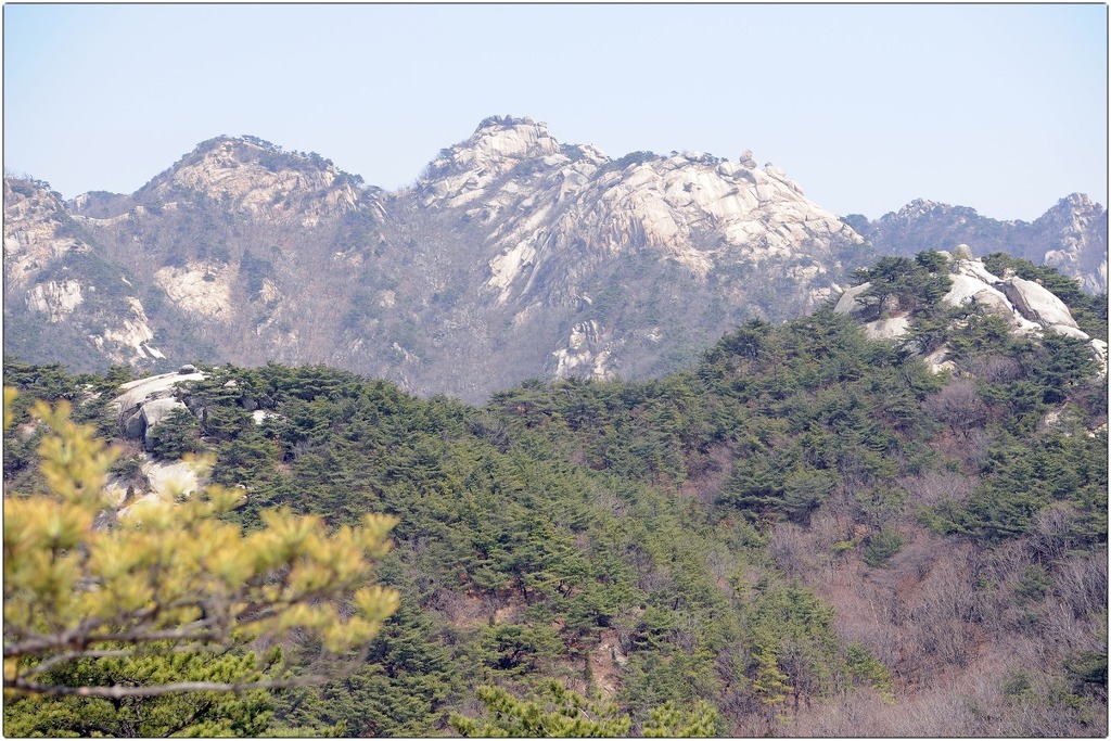 김규호 이미지
