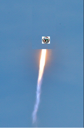 나로호우! | 인스티즈