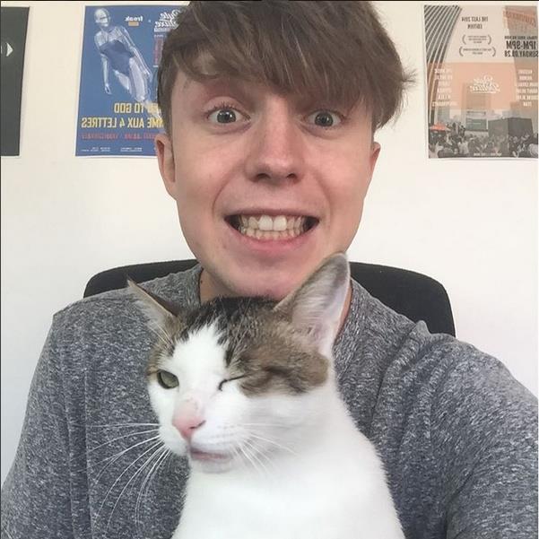 연예인들이 키우는 반려동물(반려묘) | 인스티즈