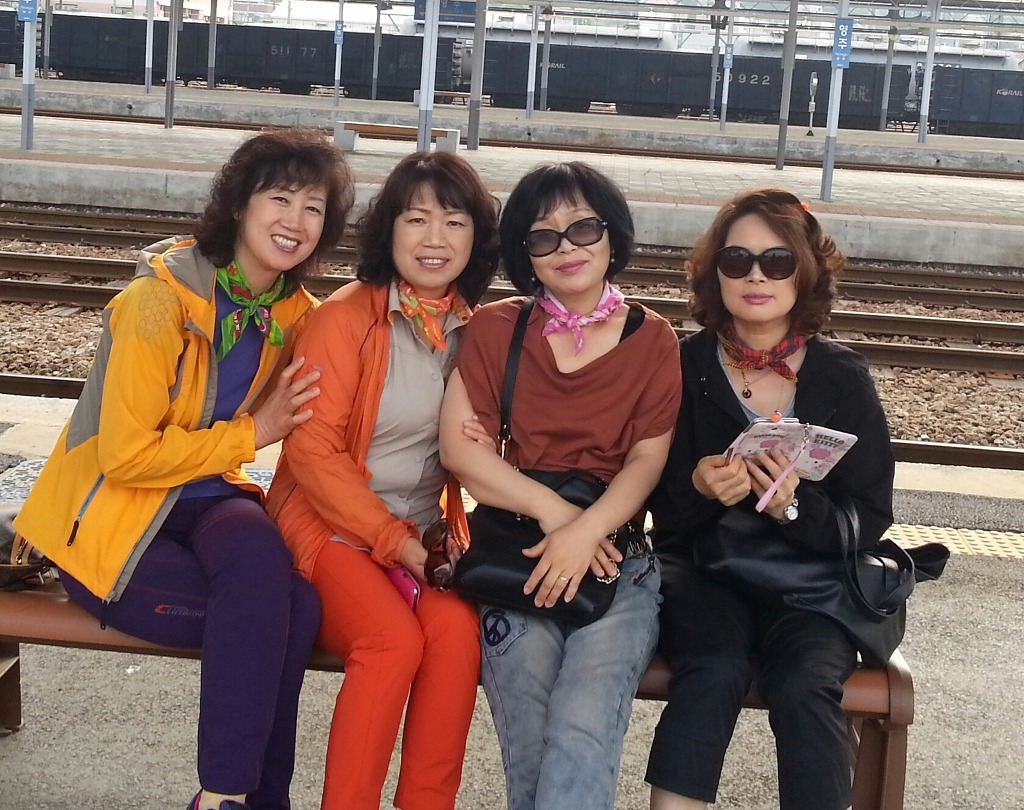 고고씽 이미지
