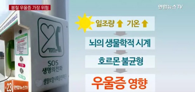 봄이 되고나서 부쩍 우울하다고 느낀다면? | 인스티즈