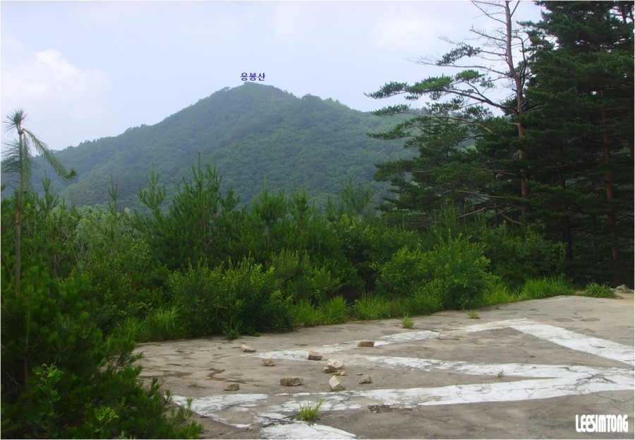 수림주유소 이미지