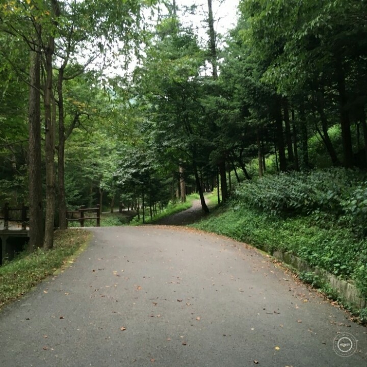 동서호떡 이미지