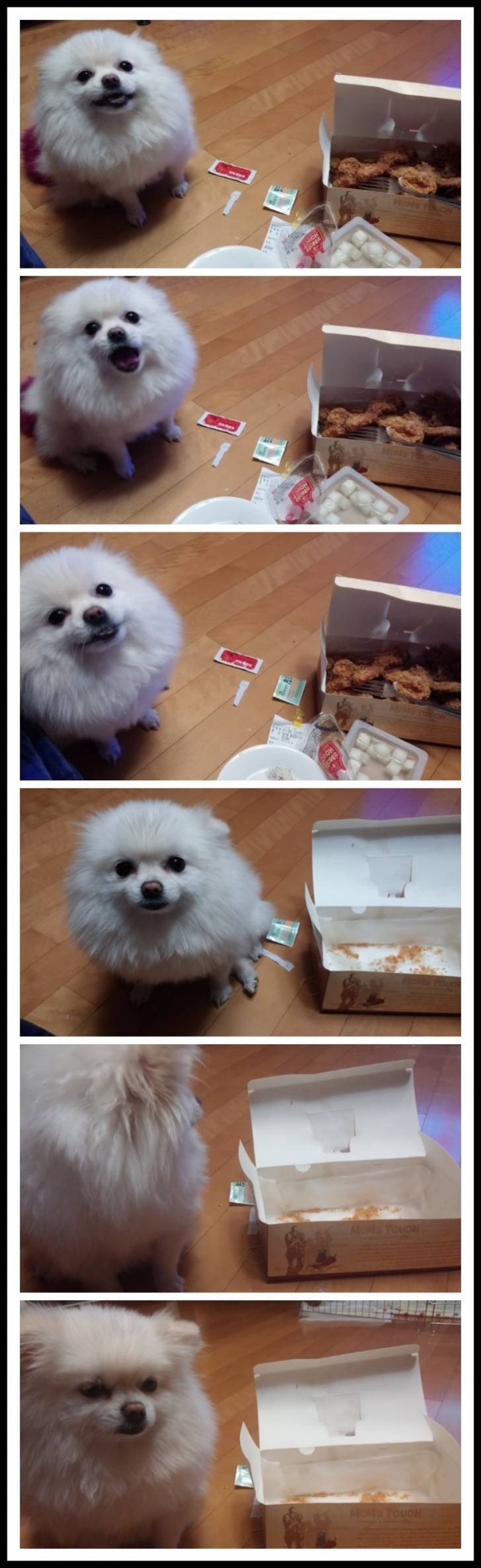 동물 학대의 현장 | 인스티즈