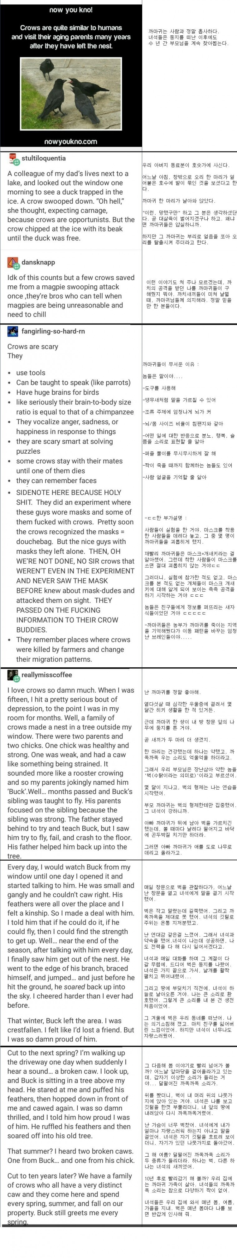 까마귀 찬가 | 인스티즈