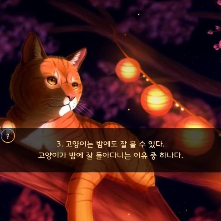 야옹이를 대하는 예의 | 인스티즈