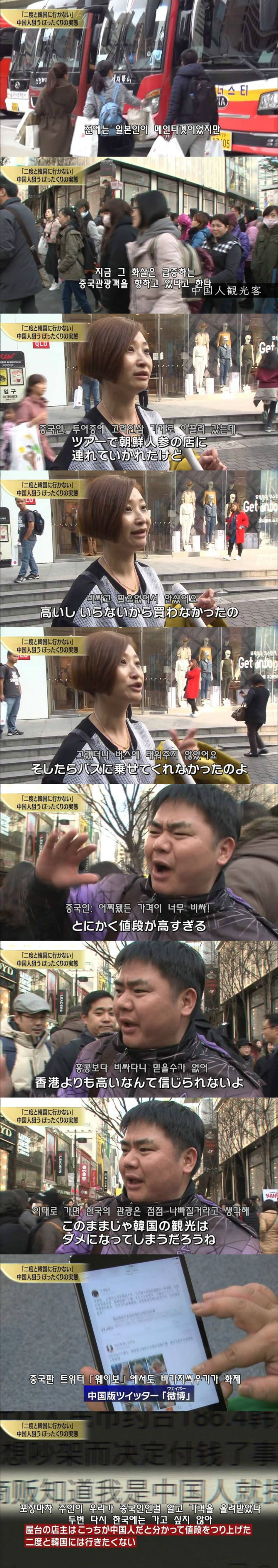 일본 방송에서 개까이는 한국관광 | 인스티즈