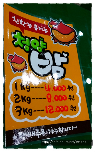 세종피오피 이미지