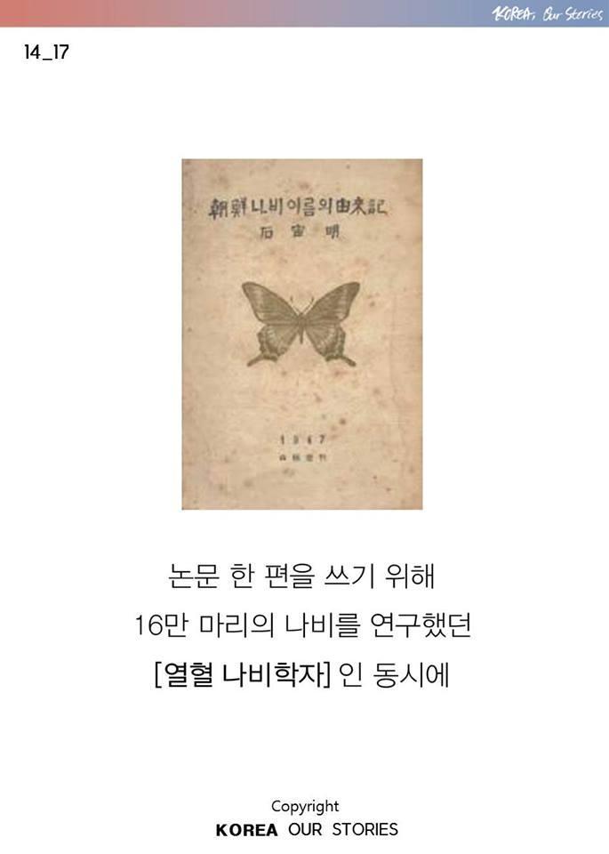 한국에서 나비가 사라졌다 | 인스티즈