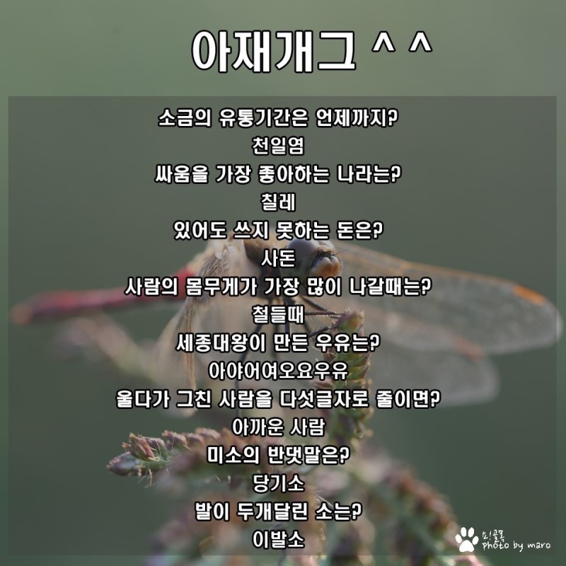안웃기면 지상렬 | 인스티즈