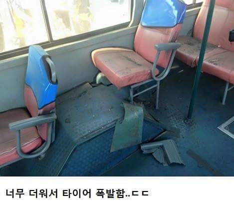 흔한 대구 버스 JPG | 인스티즈