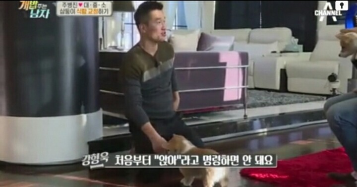 [개밥주는남자] 웰시코기 삼둥이 대중소 식탐고치기 (feat.갓형욱) | 인스티즈