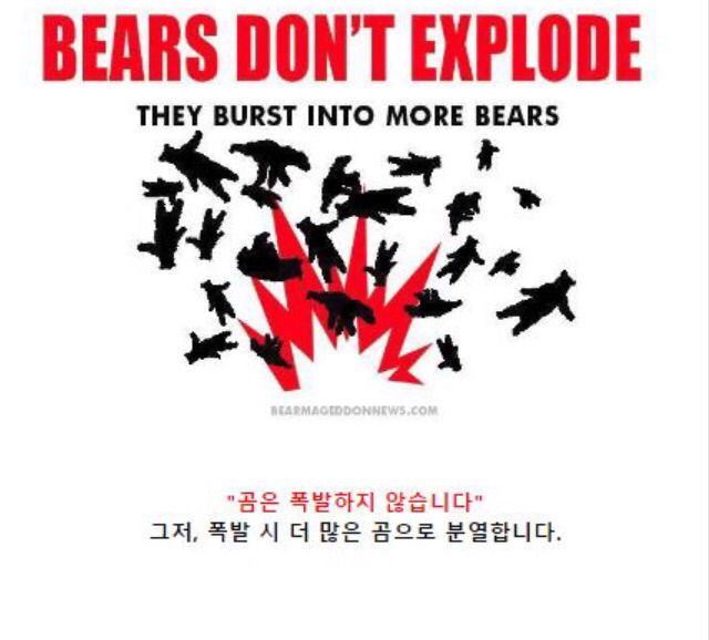 곰에게 공격당했을 때 살아남는 팁 | 인스티즈