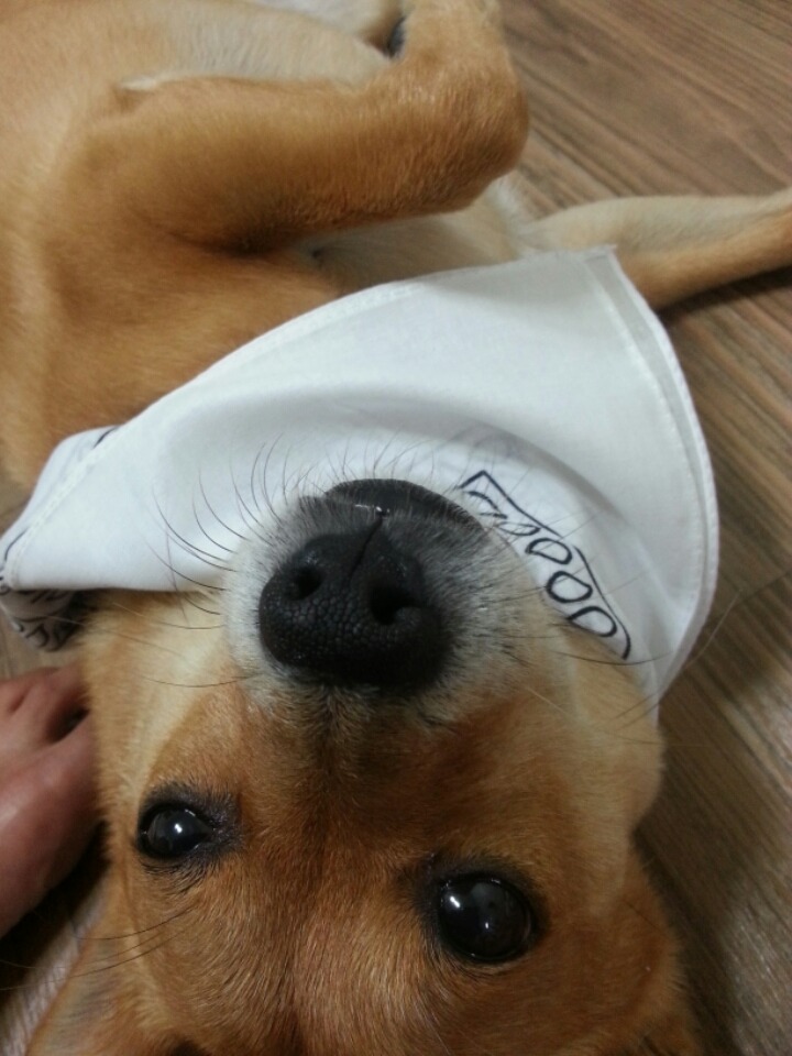 밍구네일 이미지