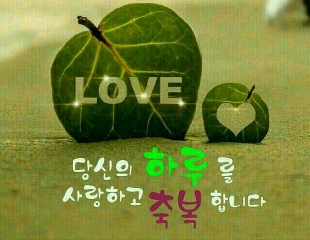 비엔비 이미지