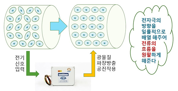 쎄스 이미지