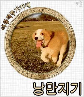 주인 귀가 5초전 | 인스티즈