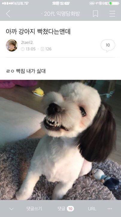 큰일남 우리집 강아지 침.jpg | 인스티즈