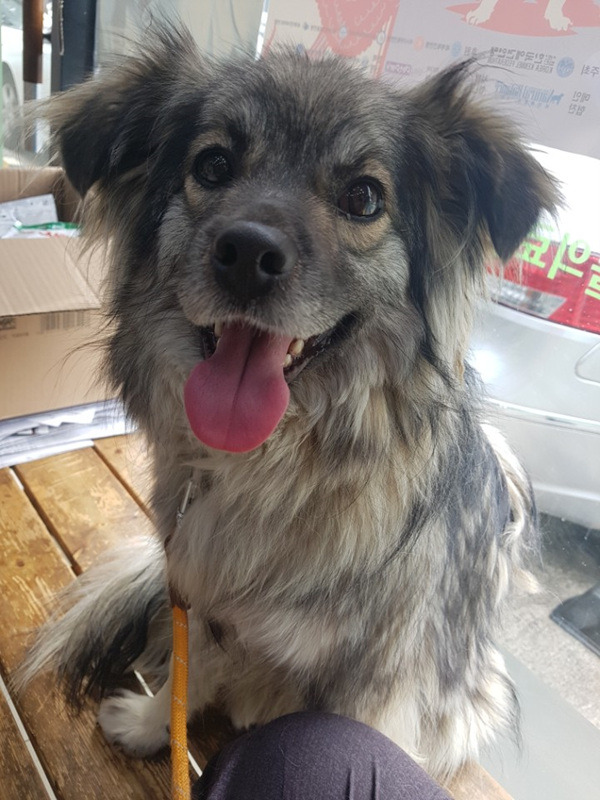도담이 이미지