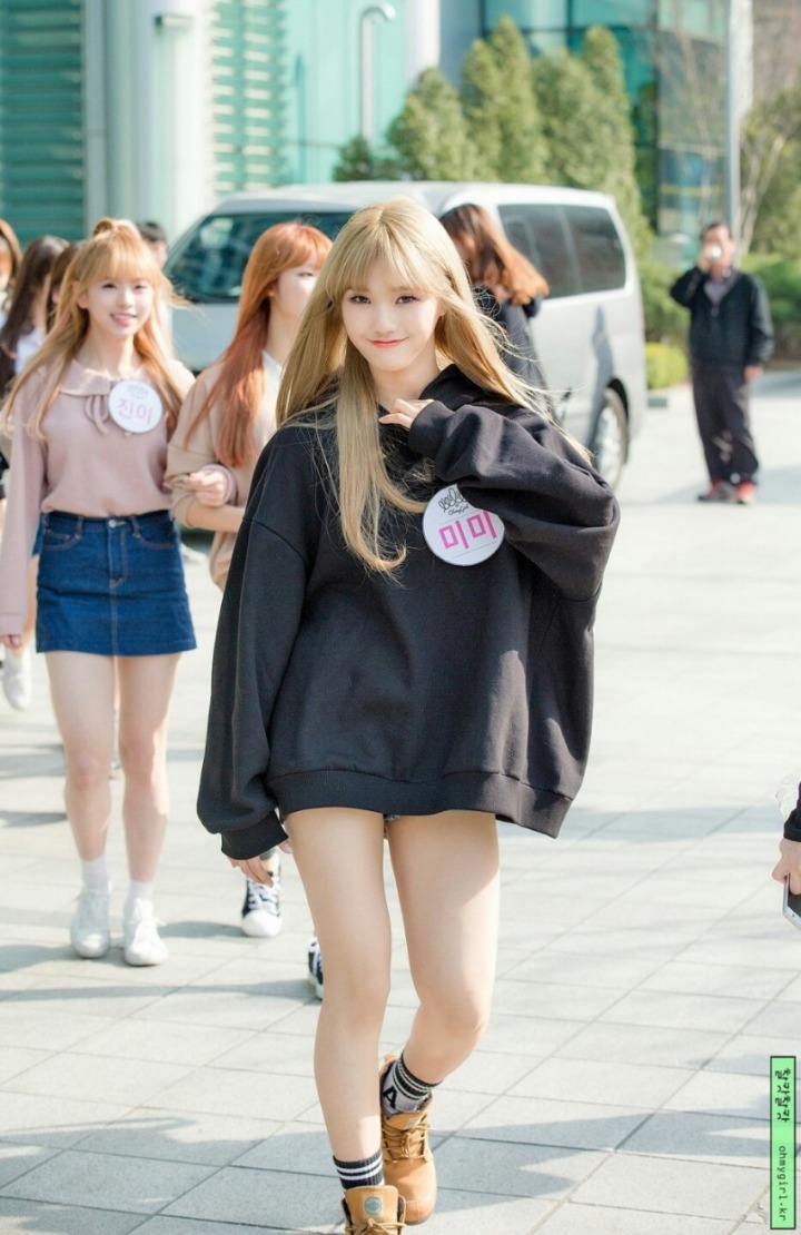 미미 이미지