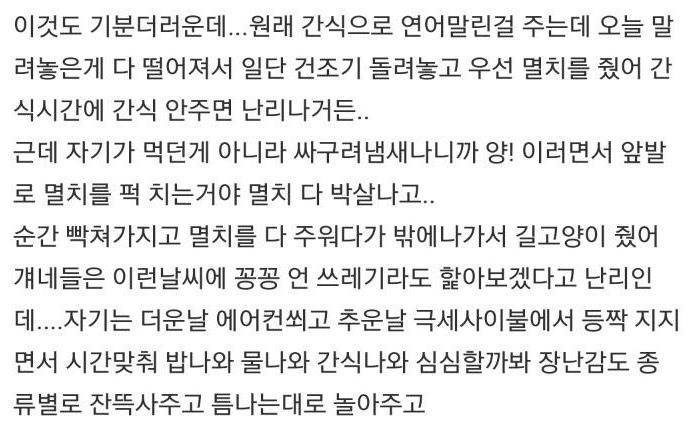걔를 보다가 우리 애를 키우니까 너무 서럽고 힘들어.jpg | 인스티즈