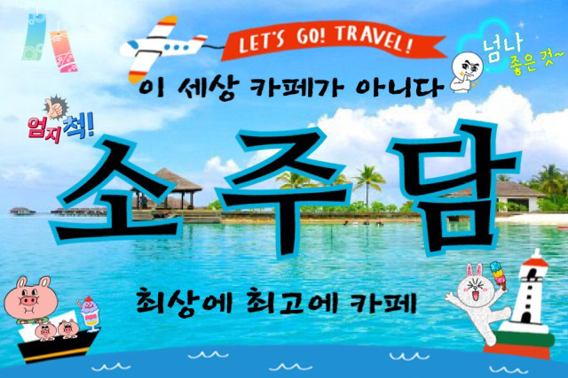 일본의 고양이 사진 작가 | 인스티즈