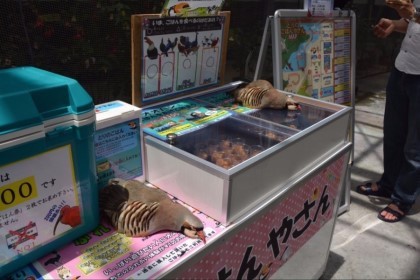 더위에 지친 새찡...jpg | 인스티즈