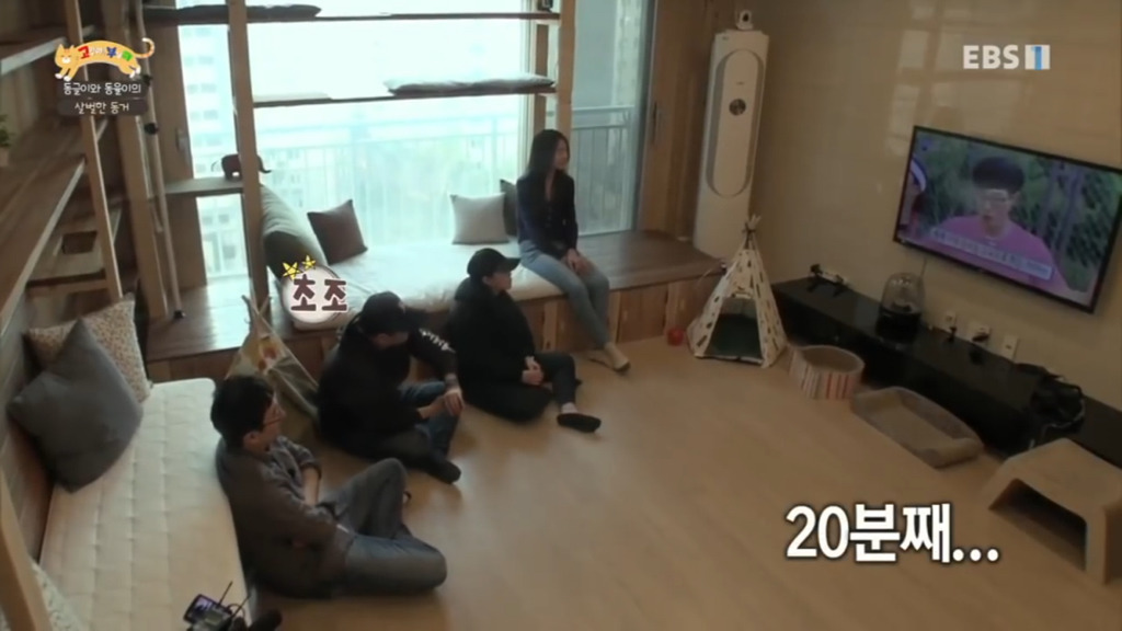 세상에 나쁜 개는 없다 vs 고양이를 부탁해 차이.jpg | 인스티즈