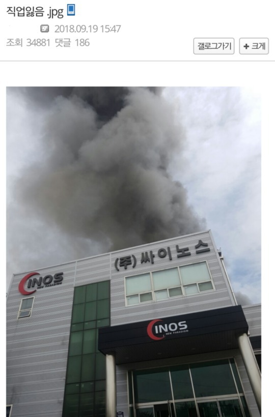 오늘자 실검...백수 된 디씨인.jpg | 인스티즈