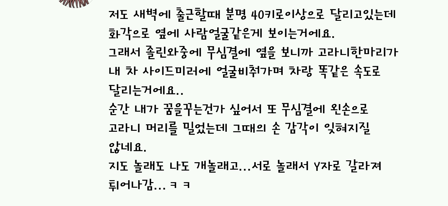 세계 멸종 위기 동물이지만 한국에서 쌍욕 는 동물 | 인스티즈