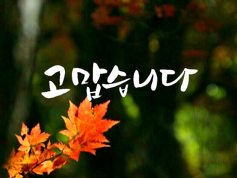 전야제 이미지