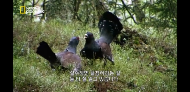 분노조절을 잘 해야하는 이유 | 인스티즈
