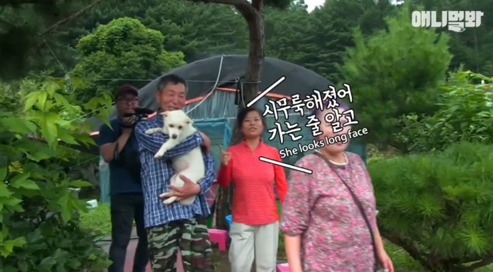 키워키우라고 vs 절대 안키울거라는 아저씨 | 인스티즈