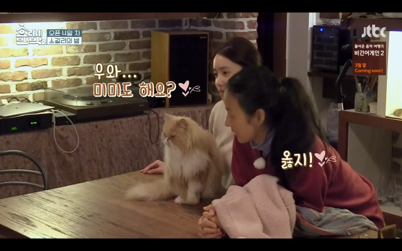 [효리네민박] 윤아와 눈인사 잘해주는 고양이 삼식이ㅠㅠ.gif | 인스티즈