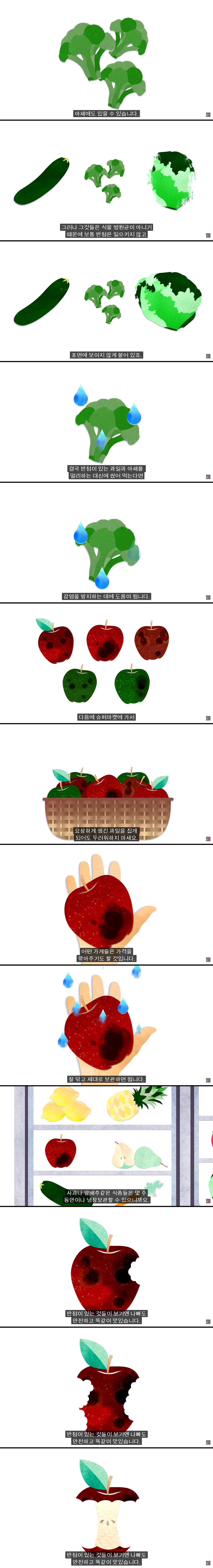 반점이 있는 과일과 야채를 먹어도 안전할까.jpg | 인스티즈