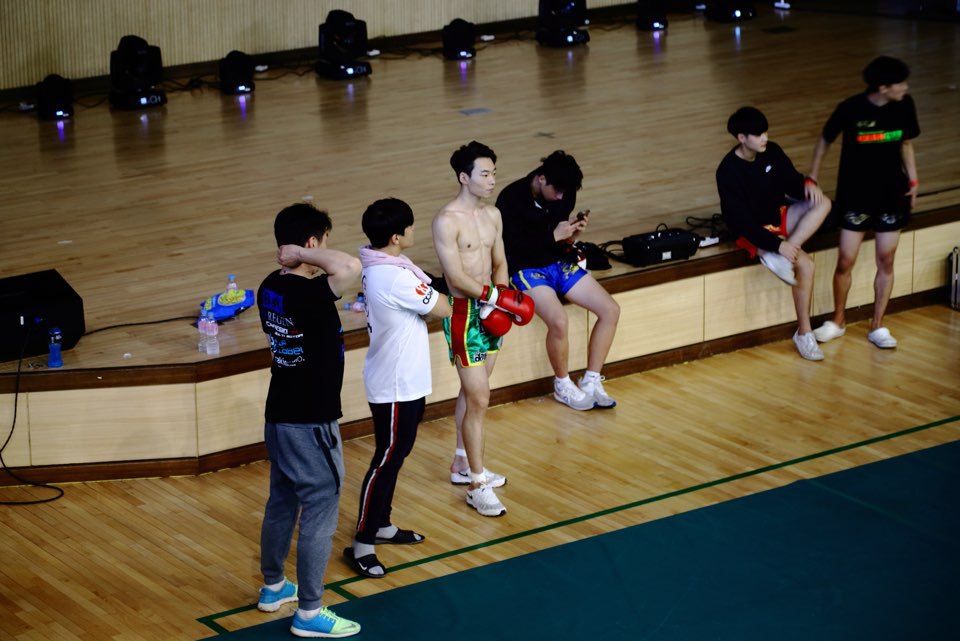 미르메라 이미지