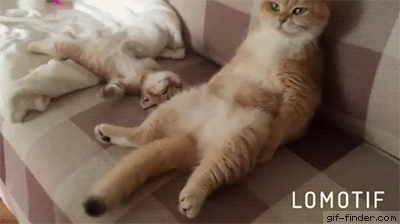 육아는 힘들다.gif | 인스티즈