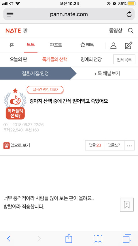 강아지 산책 중에 간식 얻어먹고 죽었어요 | 인스티즈