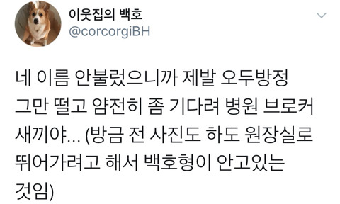 댕댕이의 고정픽은 동물병원 원장님 | 인스티즈